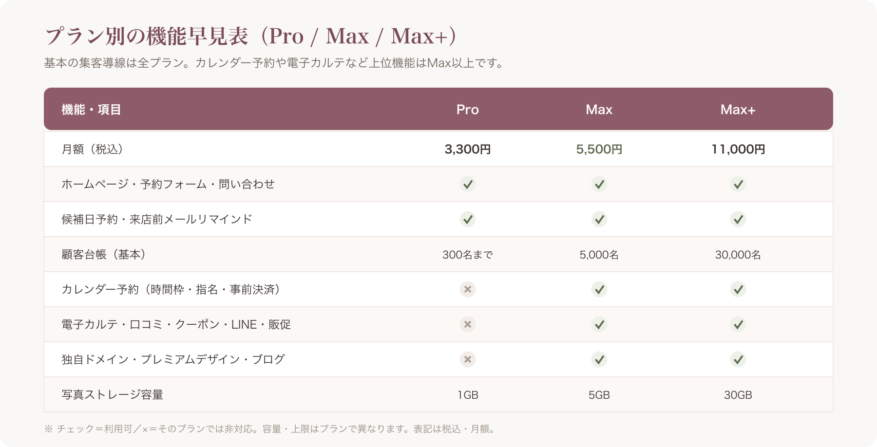 Pro/Max/Max+ のプラン別機能比較表